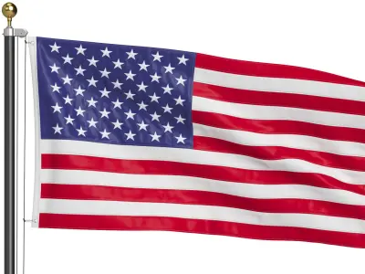 USA Flag on High Flagpole 3D model