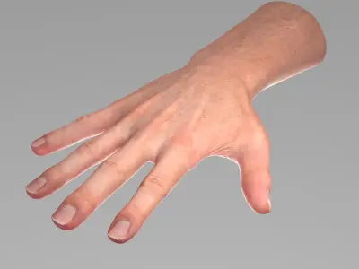  Realistic Male Hand Rigged 