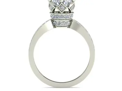 Women Ring  Render 3dm STL OBJ FBX Details 3D print model 254