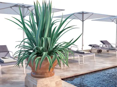 Bassin Set 01 - Extended version 3D model