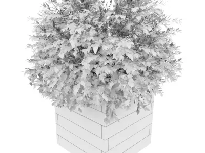 Planter Box 3D model