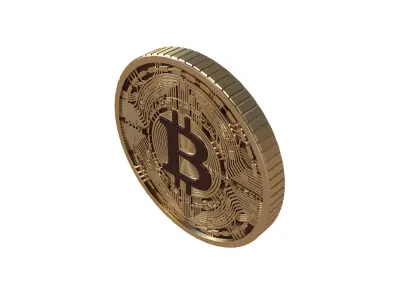 Bitcoin v6 001 3D model