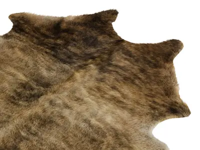 European Rug Cowhide 10 3D model