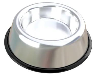 Stainless Steel Dog Bowl 3D model