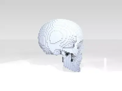 Skull Voxel 3D model