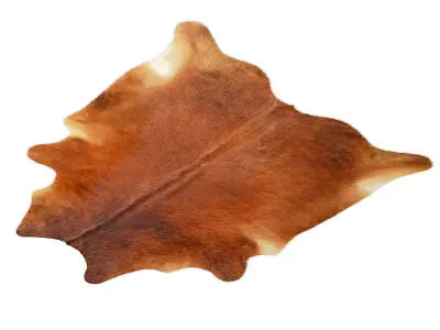 Medium Brindle Cowhide 3D model