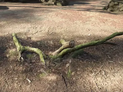 Forest Tree Root D 3D model