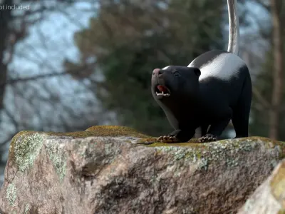  Skunk Animal Animated Rigged for Blender 