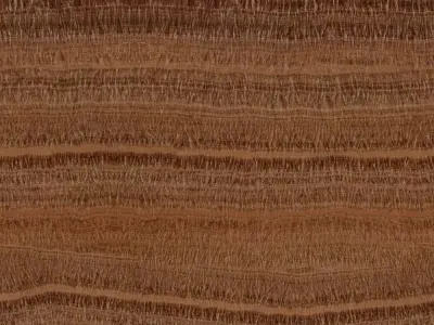 Striped Brown Wood Texture  Texture