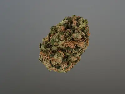 Marijuana Flower 3 3D model
