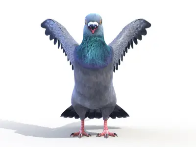  Pigeon 