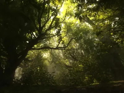  Forest Animated HD 