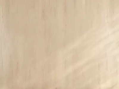 Wood material v01 Texture