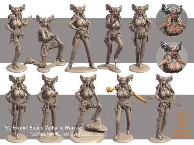 Saint  Exmin  Space Valkyrie - Battle Beyond the Stars 3D print model