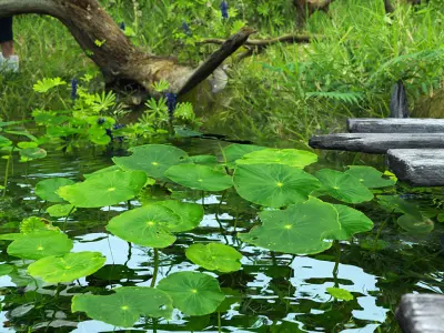 Small Pond -  Full Model Sketchup - V-ray Render 3D model