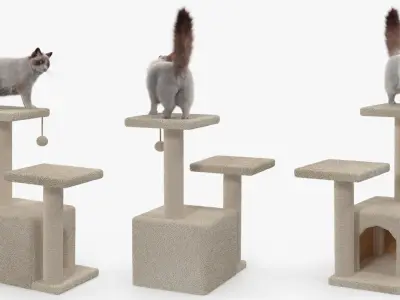  Fluffy Cat Standing on Cat Tree Tower Fur for Maya 