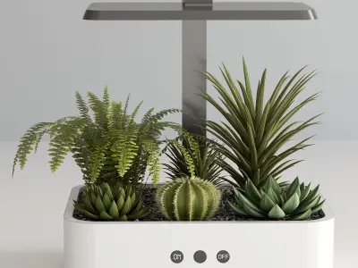 PLANTS IN DIGITAL VASE NO2 A 3D model