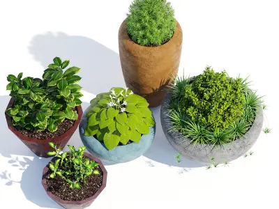 Mundo and Faceted 3D model