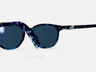 Sydney Sunglasses in Riverbed Tortoise 3D model
