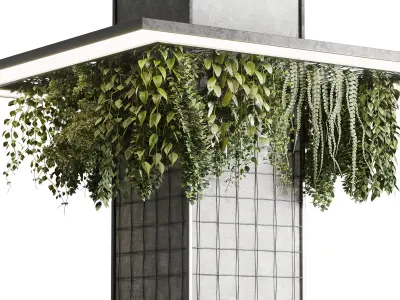 Column plant pillar plant 05 Low-poly 3D model