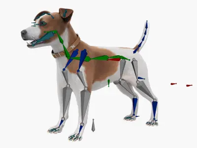  Hunting Jack Russell Running Animated Fur Rigged For Blender 