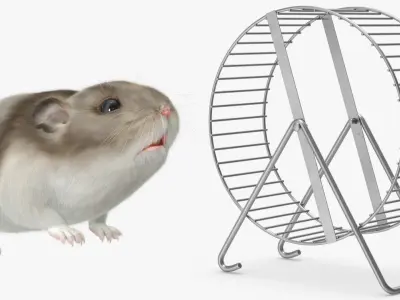  Pet Exercise Wheel on Stand with Running Hamster Fur for Maya 