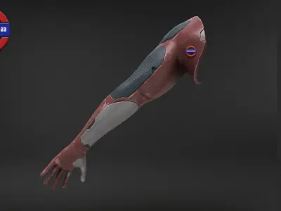 Sci fi arm v2 Game ready Low-poly 3D model