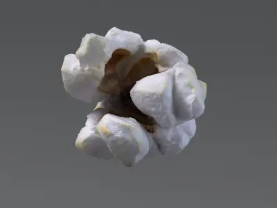  Realistic Popcorn Collection 