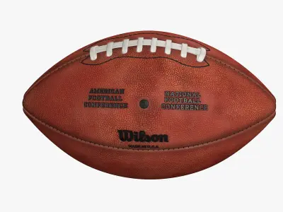  American Football Ball Wilson 8K 