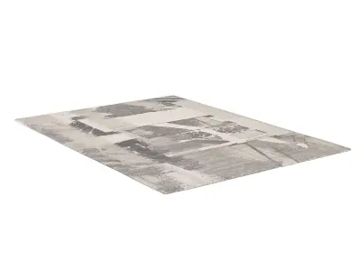 AKASH WOOL RUG 3D model