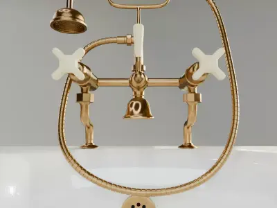 Vintage Bathtub Low-poly 3D model