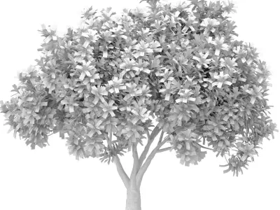 Decorative Evergreen Beautiful Garden Outdoor Tree Shrub 3D model purchase