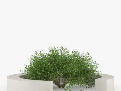 COMU BY VORA ARQUITECTURA Tree Bench 3D model