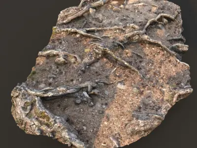 nature ground scan 001 3D model