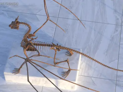  Fossilized Dragon Skeleton 