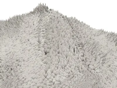 Carpet 3D model