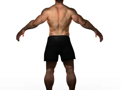 Full Male Body With Skeleton 3D model