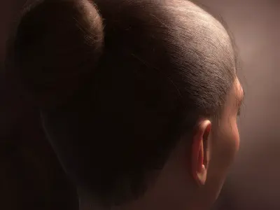 Updo Hair DAZ Studio Low-poly 3D model