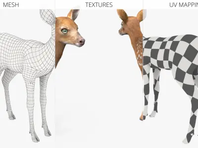  White-Tailed Fawn Deer Jumping Fur Animated Rigged for Maya 