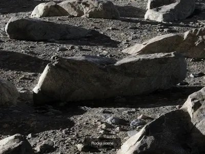 Environment assets and materials Texture