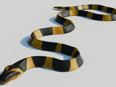 Rigged Banded Krait - Low Poly - Game Ready - PBR