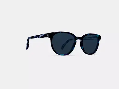 Sydney Sunglasses in Riverbed Tortoise 3D model