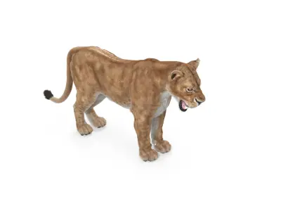  Lioness Textured w Fur 