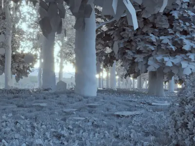 Autumn Road - Full Model Sketchup - V-ray Render 3D model