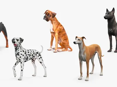  Large Dogs Collection 2 