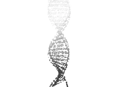 DNA Molecule v4 015 3D model