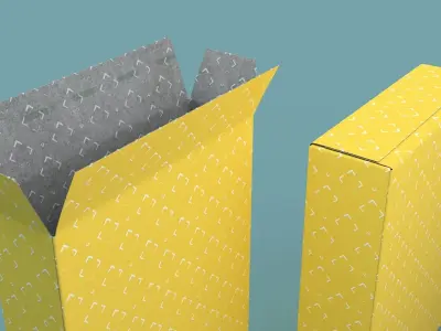 Package Box 3D model