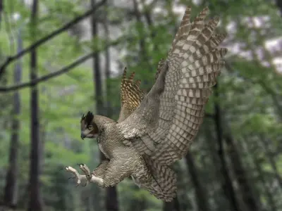  Great Horned Owl Rigged 