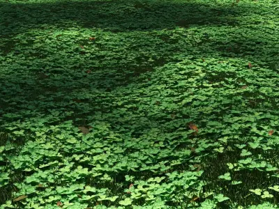 Clover lawn 3D model