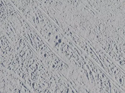Raked Beach Sand Tracks Texture  Texture